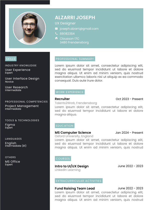 CV Template 2