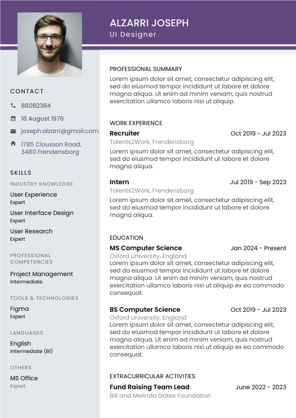 CV Template 3