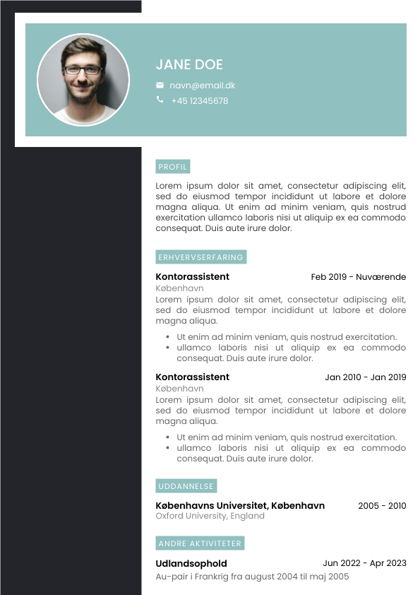 CV Template 2
