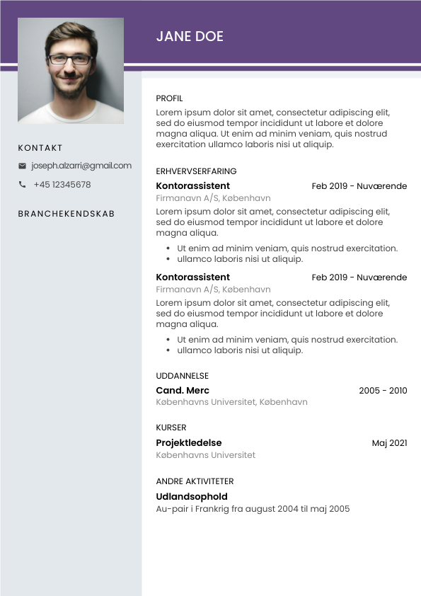 CV Template 3