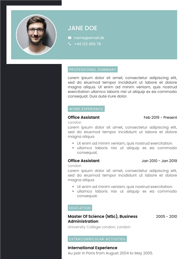 CV Template 2